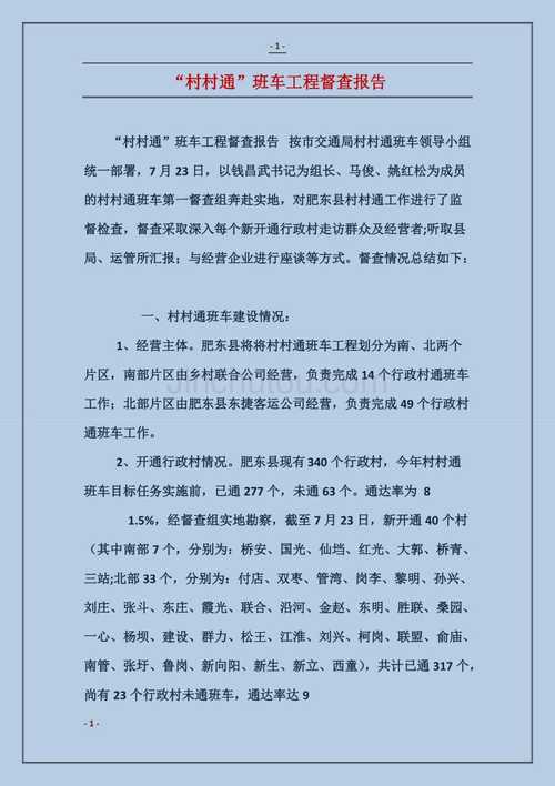 中考体育督查报告