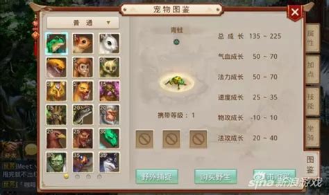 问道宠物技能突破令