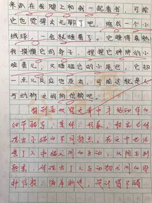 游戏300字作文扔沙包 游戏300字作文扔沙包