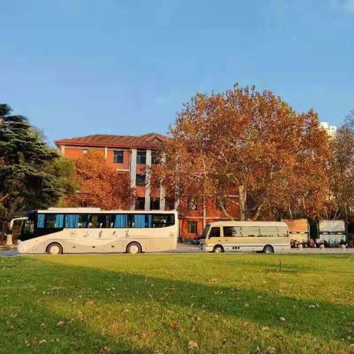 体育生配什么音乐