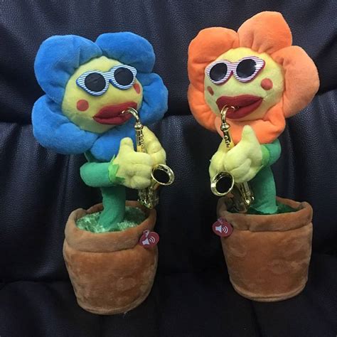 会唱歌的向日葵歌词简谱 会唱歌的向日葵歌词简谱