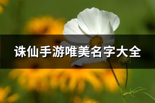 诛仙手游有诗意的名字
