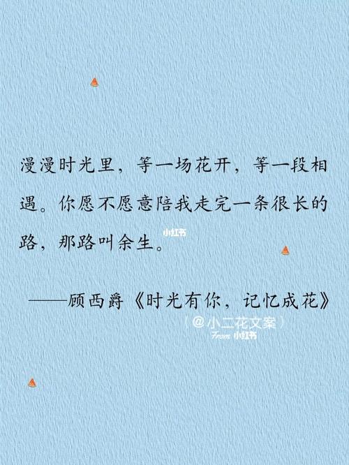 梦想的力量,记忆的绝响——《网课那些事儿》《〈青春与梦想〉观后感