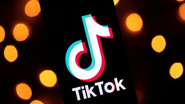 抖音国际版tiktok色板 抖音国际版tiktok色板