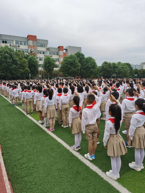 1.视频报警系统