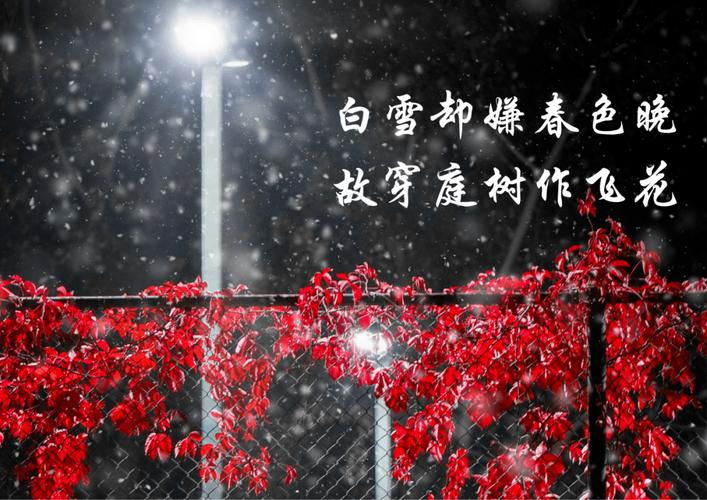 8真正的美人,熬得过岁月.📚书名:《时光深处的优雅》✍️作 8真正的美人,熬得过岁月.📚书名:《时光深处的优雅》✍️作