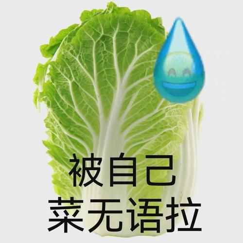 宅男之光台湾勇者的见义勇为与辛美尔精神的共鸣
