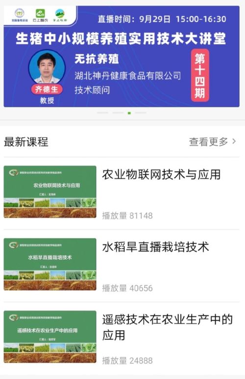 舒舒服服小岛时光休闲种田游戏新星 舒舒服服小岛时光休闲种田游戏新星