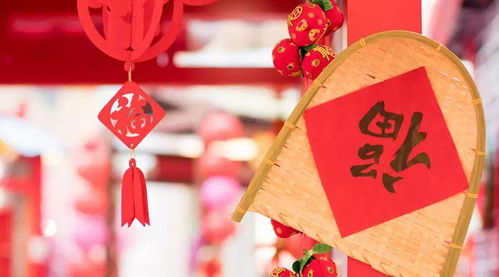 看看今年财运