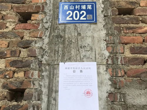 医疗行业新品发布黄金树幽影月号 医疗行业新品发布黄金树幽影月号