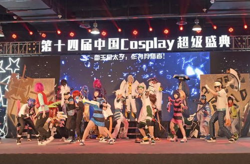 动漫的盛会，人民的节日第二十届中国国际动漫节的魅力与启示

演讲