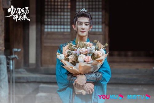 少年白马醉春风13集