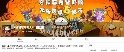 金海豚之梦 金海豚之梦