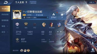 【排面MAX】个人界面放这四款皮肤，不是大神就是土豪，艾琳都哭了！