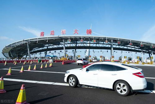 港珠澳大桥人流量多少