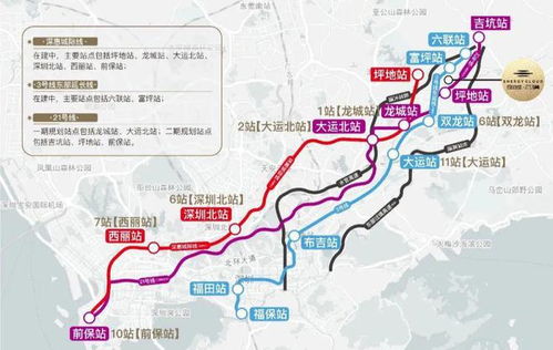搭城轨，游东莞！湾区大号地铁东莞个站点，有哪些好玩的目的地？**

**