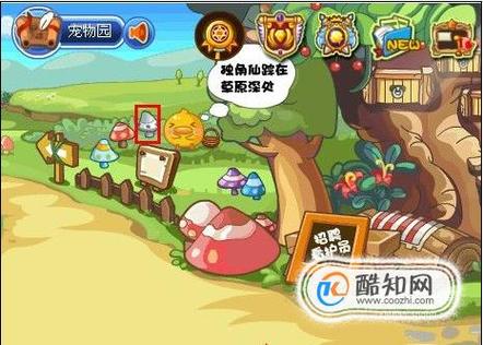 洛克王国木灵石的获取策略与价值的体现