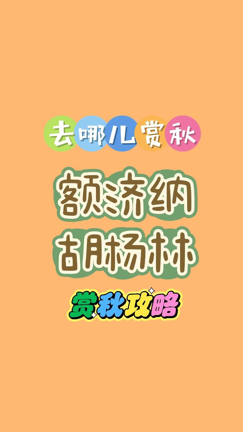 攻略神王温疏石唐三的小说