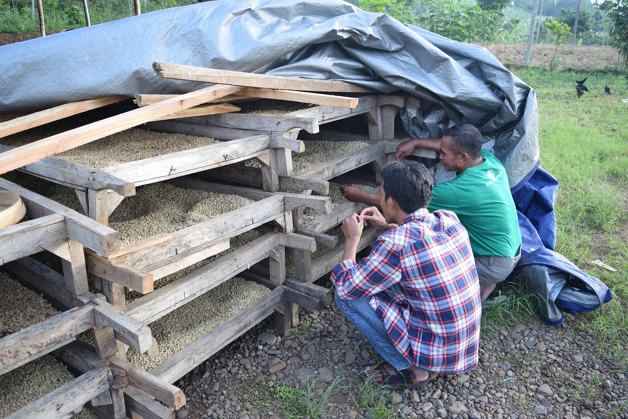 中国女子新西兰失踪一年后遗体被找到 中国女子新西兰失踪一年后遗体被找到