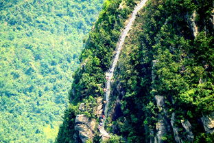 天梯之上探索未来，共创辉煌——专业展览活动规划