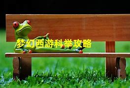 梦幻科举会试答题器