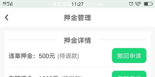 花猫加速器科技界的创新奇迹