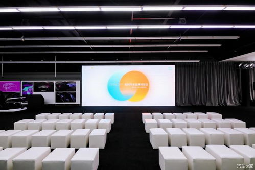 成色好的y31：用户体验与技术实力的双重奏