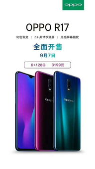 成色好的y31：时尚外观下的强劲性能