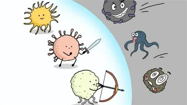 有一根又黑又硬的蘑菇头：硬质真菌的生态故事