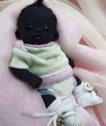 有一根又黑又硬的蘑菇头：自然中的黑色瑰宝