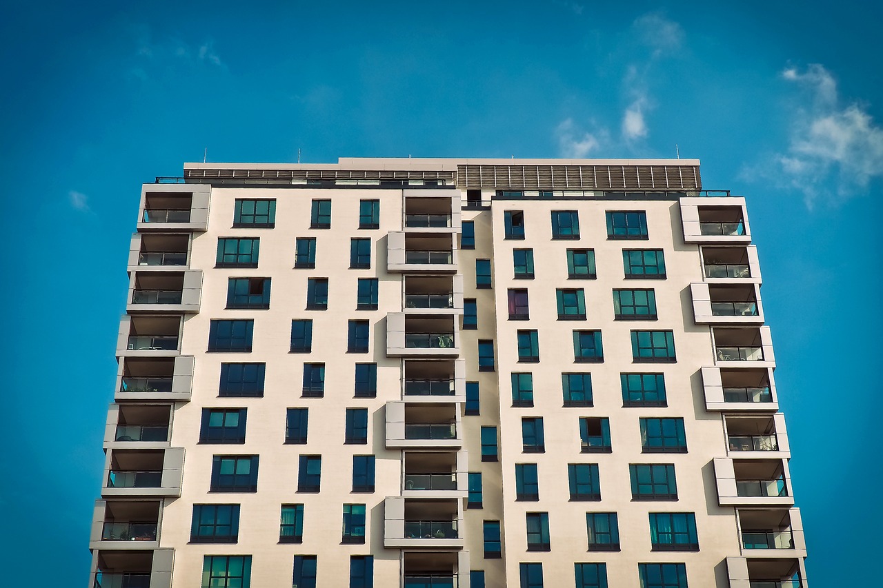 广东的鹤岗，新时代的城市奇迹黑色的很粗很大的蘑菇头