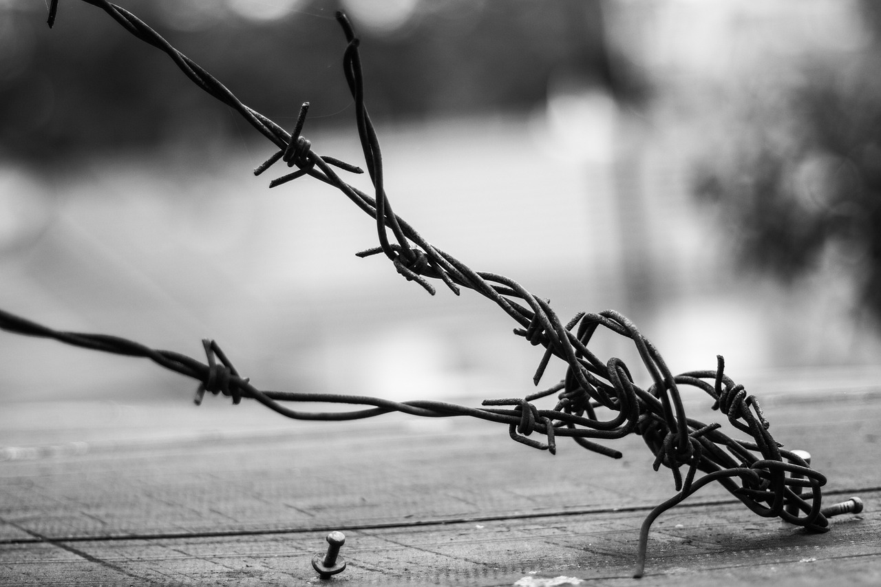 探索未知的极限，地狱边境终极结局解析与深度解读