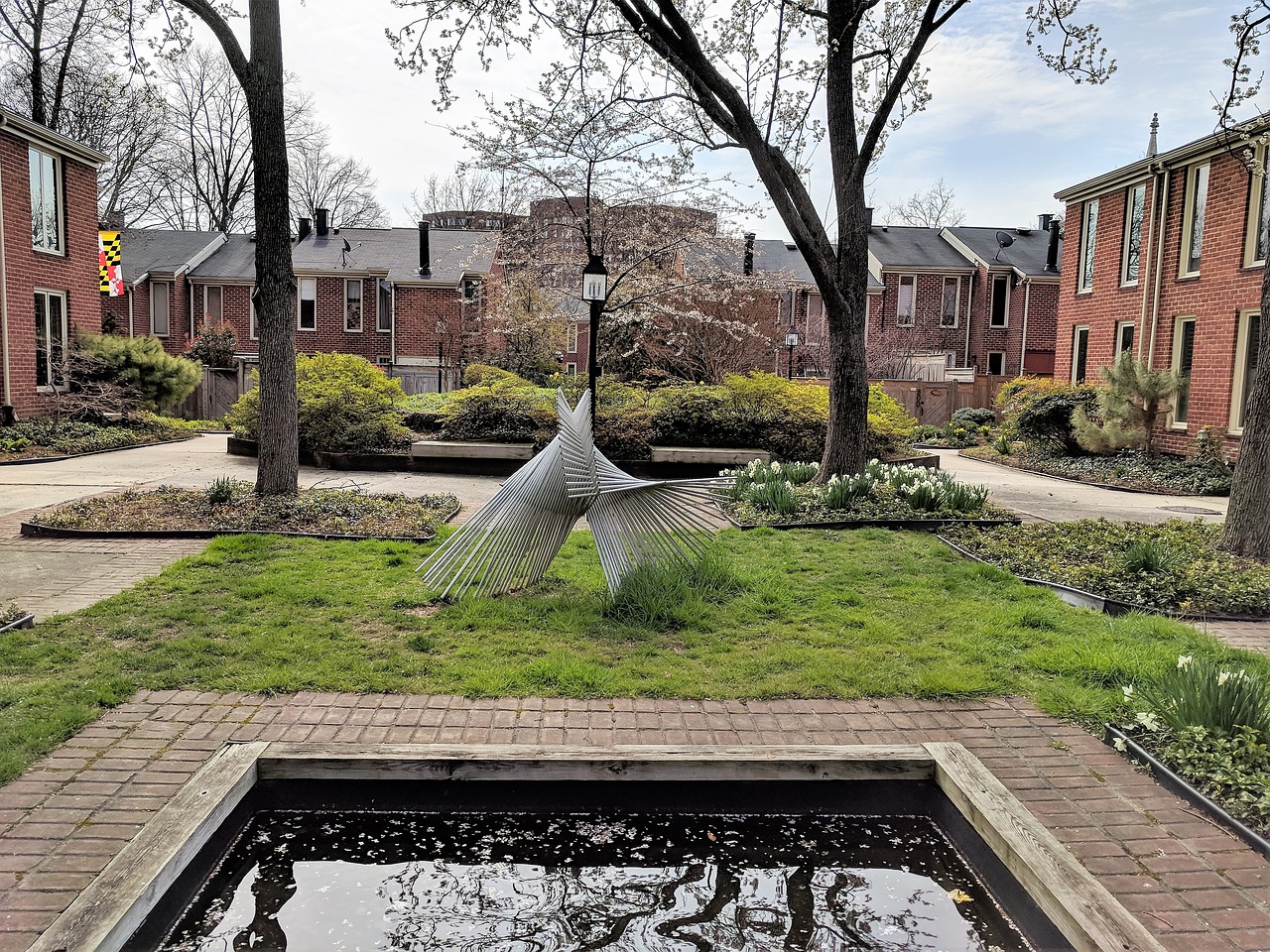 庭前院后,岁月的静好与游戏的交织 庭前院后,岁月的静好与游戏的交织