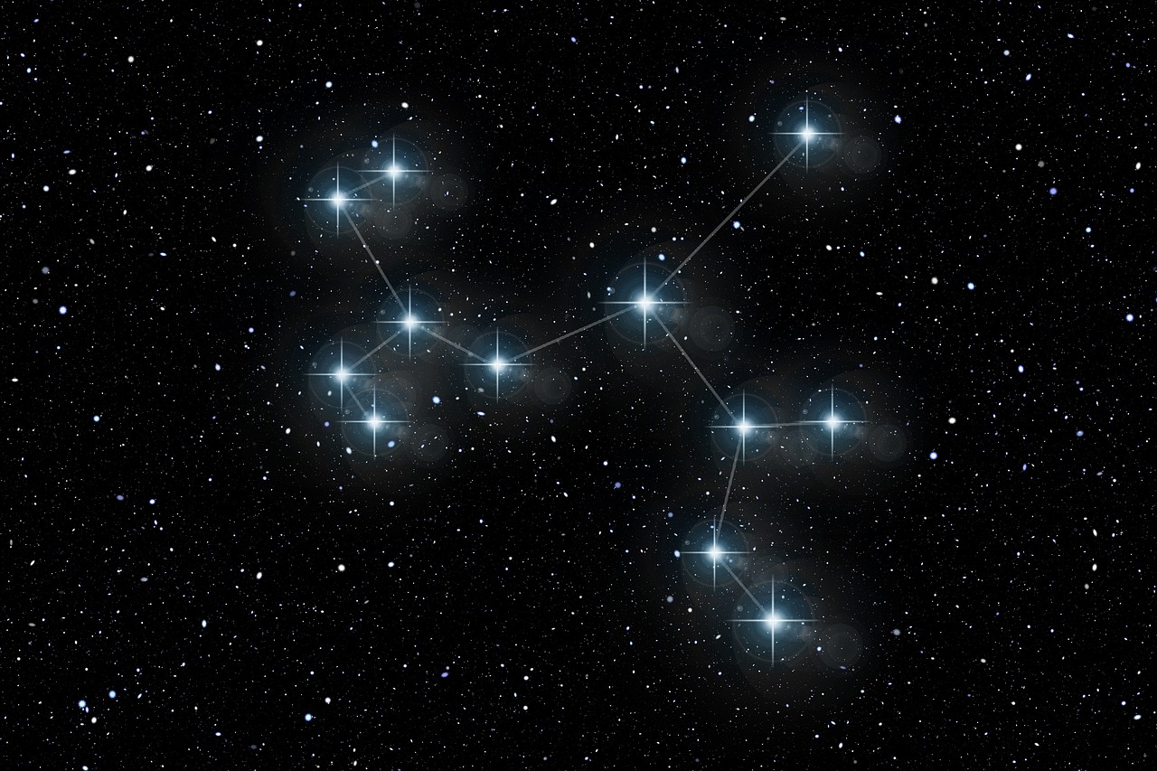 盛李豪，篮球界的天赋之星成免费crm特色