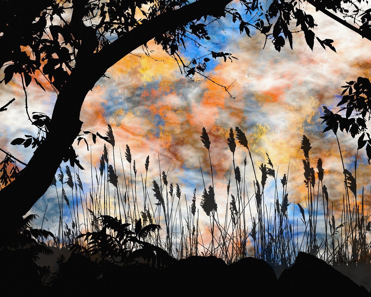 深度揭秘，臭作全CG存档——一次游戏制作的视觉与灵魂碰撞