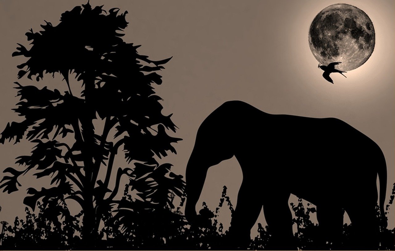 林鬼的游戏,隐秘森林中的生存艺术 林鬼的游戏,隐秘森林中的生存艺术