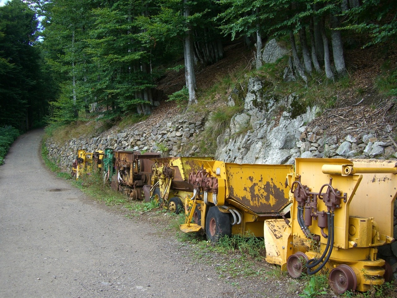 广东省博物馆回应车库禁停新能源车事件,绿色出行的挑战与应对策略浪漫的滋润第十二章读后感 广东省博物馆回应车库禁停新能源车事件,绿色出行的挑战与应对策略浪漫的滋润第十二章读后感