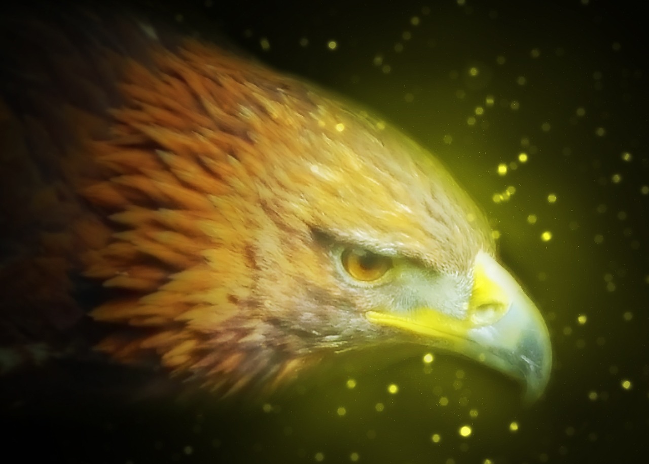 全方位深度解析,怪物猎人P3狩猎攻略大揭秘——揭秘你的狩猎新世界 全方位深度解析,怪物猎人P3狩猎攻略大揭秘——揭秘你的狩猎新世界