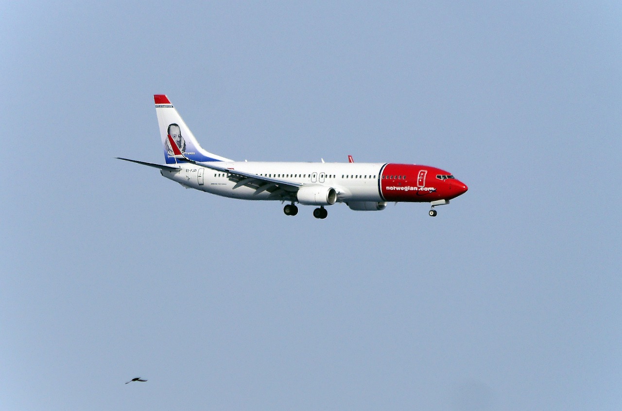 ZH9138航班安全降落,平安抵达目的地我的蘑菇头好吃吗 ZH9138航班安全降落,平安抵达目的地我的蘑菇头好吃吗