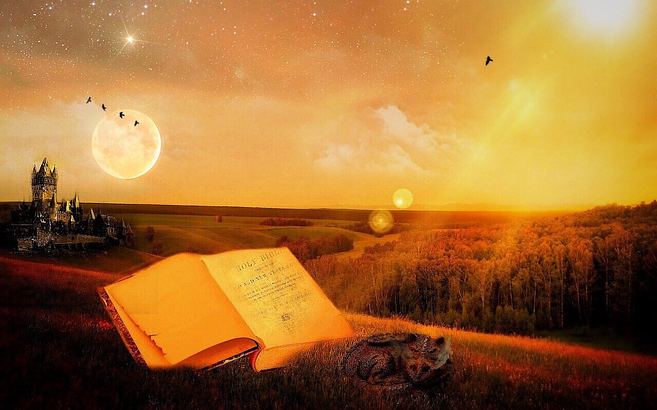 揭秘奇迹血色城堡，揭秘等级的秘密与崛起之路