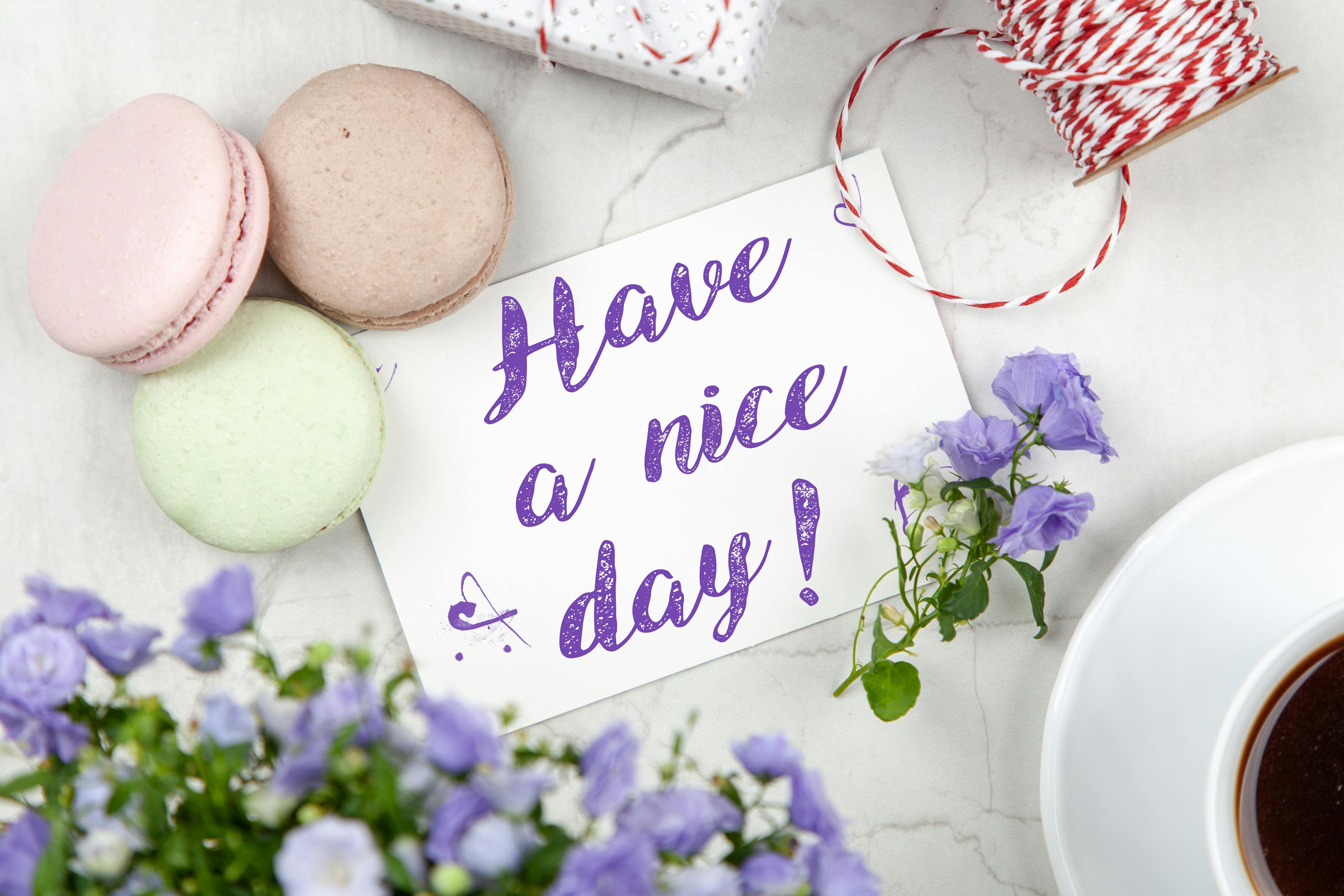 恋爱甜点师的巧克力选举,校园浪漫与甜蜜抉择 恋爱甜点师的巧克力选举,校园浪漫与甜蜜抉择