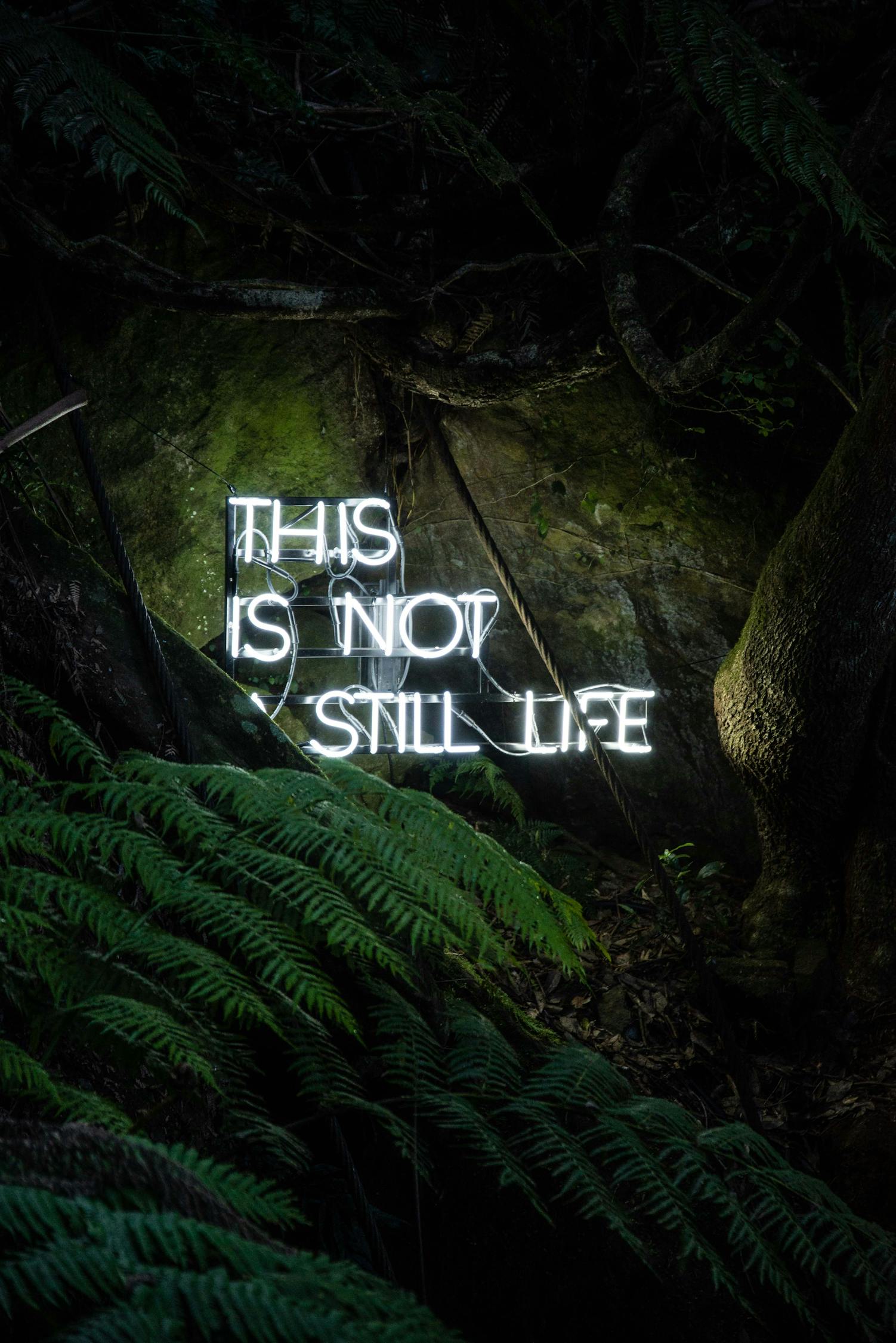 游戏幻境,小说生成器的秘密 游戏幻境,小说生成器的秘密