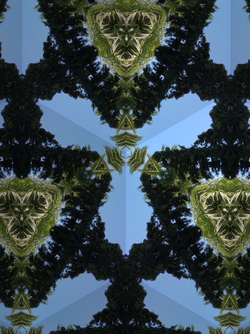 植物大战僵尸2官方下载全攻略,带你领略智斗绿僵的极致盛宴! 植物大战僵尸2官方下载全攻略,带你领略智斗绿僵的极致盛宴!