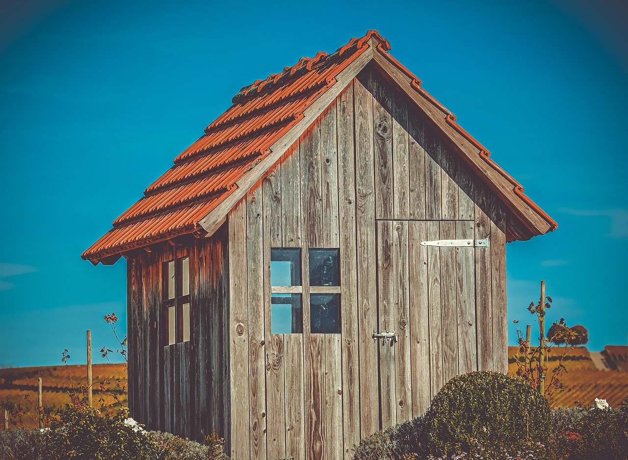 微观绿洲,迷你农场的诗意生活与数字田园梦 微观绿洲,迷你农场的诗意生活与数字田园梦