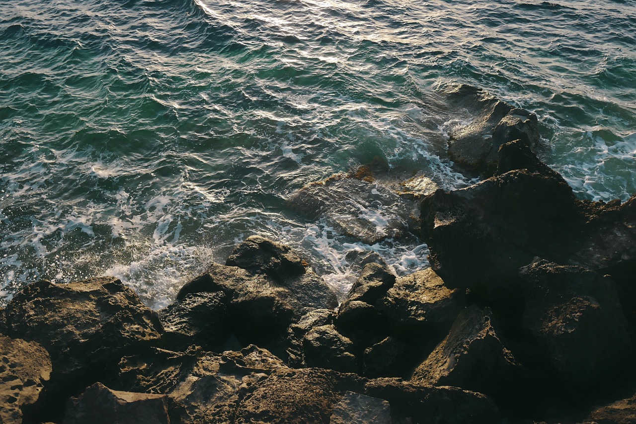 北京疫情动态，新增12例本土确诊与3例无症状感染者的应对策略